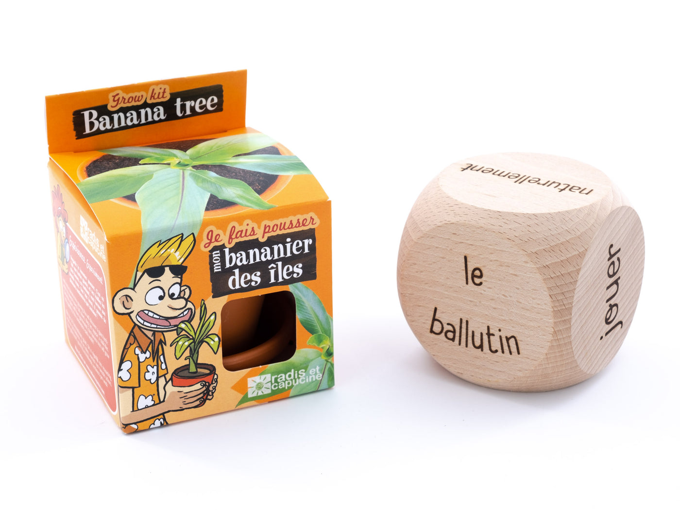Kit de plantation Bananier