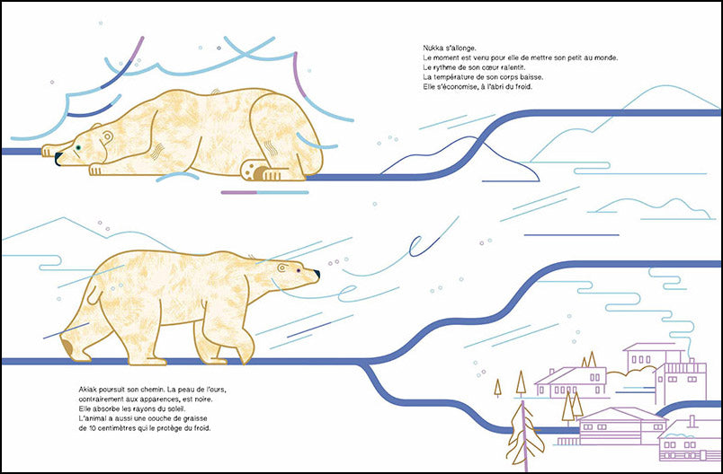 Livre "Suis du doigt l'ours polaire"