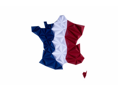 France 3D tricolore